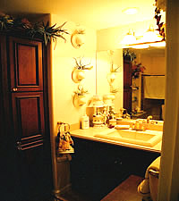 small master bath photo